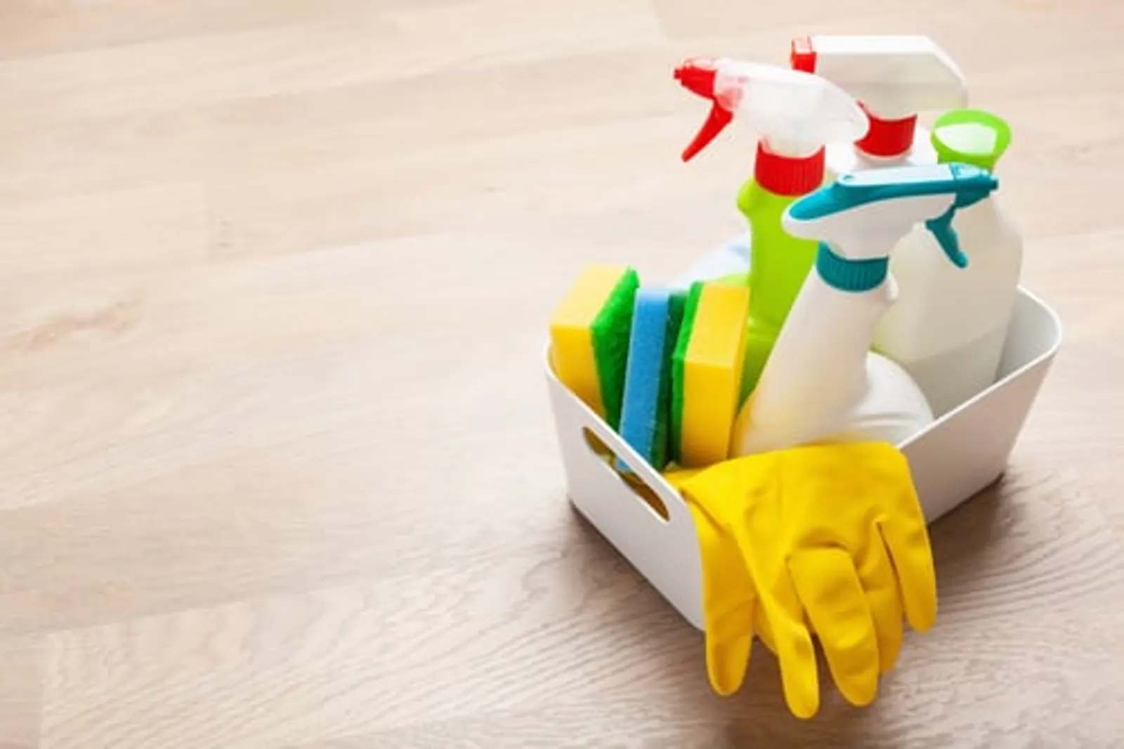 Weekly, Biweekly & Monthly Cleaning / Limpieza Recurrente