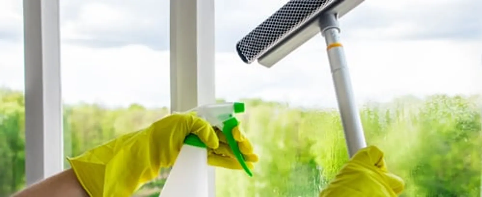 Insights from Only Believe Clean For You